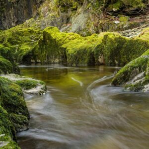 Rule of Life w/Spiritual Direction