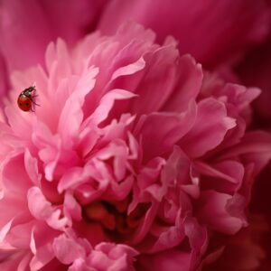 Is Spiritual Direction for Me?